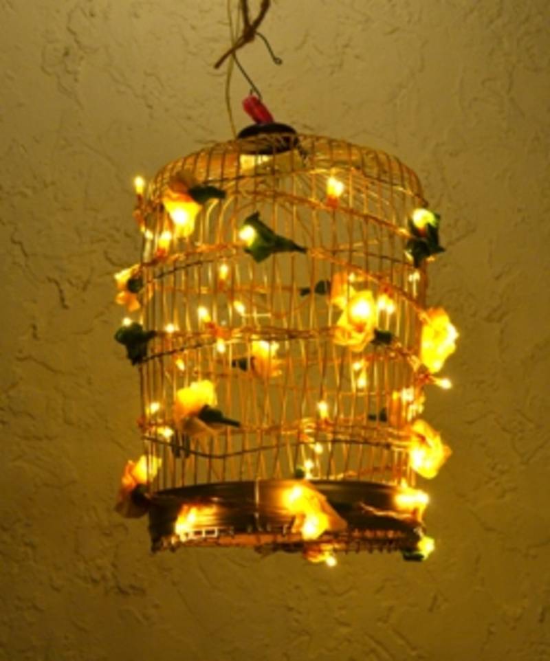 Buy Bird Cage lights Online